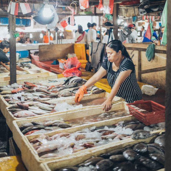 Pasar Ikan Pagi di Kedonganan